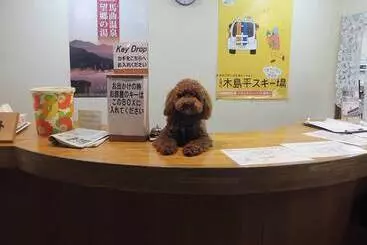 Hotel Chene Kijimadaira