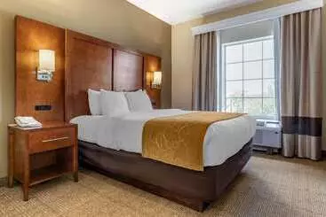 هتل Comfort Suites Myrtle Beach Central