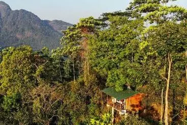 Hotel Tree Houses By Jungle River