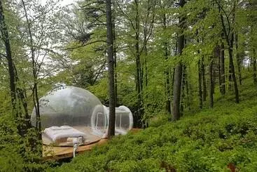 Bed and Breakfast La Bulle Transparente   La Myrtille