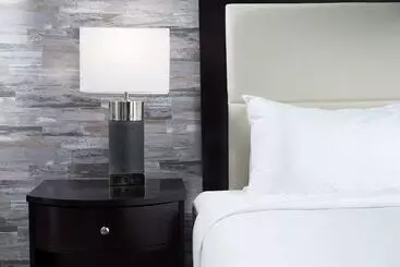 Doubletree By Hilton Hotel Chattanooga Downtown