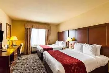 酒店 Comfort Suites At Plaza Mall