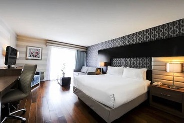 Hotel Holiday Inn Niagara Falls By The Falls, An Ihg