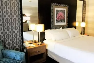 فندق Holiday Inn Niagara Falls By The Falls, An Ihg