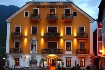 Seehotel Grüner Baum