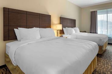 فندق Comfort Inn & Suites Pittsburgh Northshore
