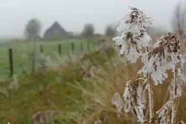 Aamiaismajoitus (B&B) Bed In Waterland