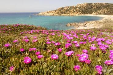 پانسیون Locanda Li Manni