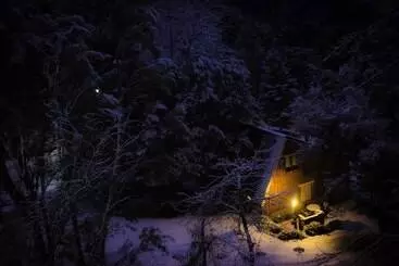 호텔 Cabañas Villa Pañil