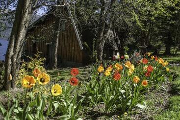 فندق Cabañas Villa Pañil
