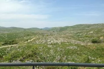 Otel Trip Base Coconeel