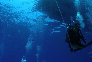 فندق Ilmare Unarizaki