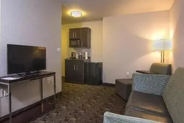 Holiday Inn Express Hotel & Suites Carlsbad Beach, An Ihg