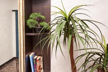 הוסטל хостел Perron