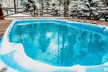 فندق Karpatska Vezha