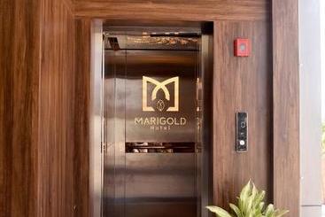 Hôtel Marigold