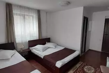 Pension Casa Ryana Sinaia