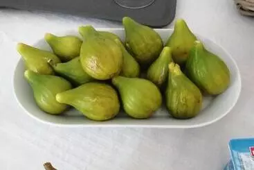 B&b Il Poggio Eccelso