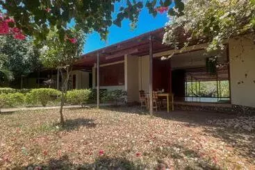 ホテル Coccoloba Beach Hostel