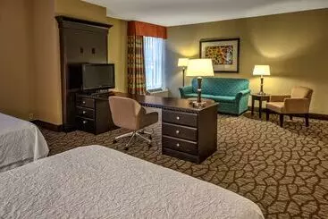 Hotel Hampton Inn Ashevilletunnel Rd