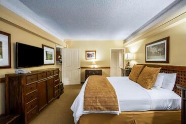 Отель The Equus