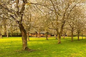 ベッドアンドブレックファースト Het Rentmeestershuis