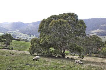House On The Hill Bed And Breakfast