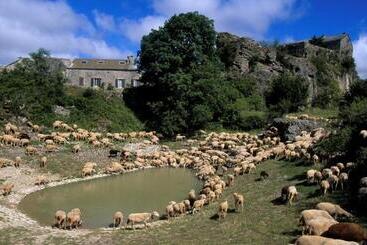 Bed and Breakfast Casteljosse   Nature Calme Et Sérénité