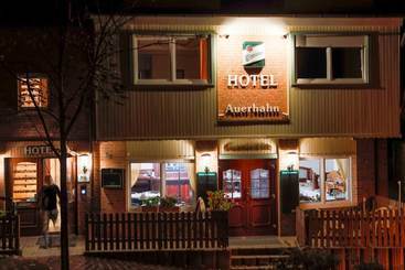 Hotel Boutique  Quedlinburg Auerhahn