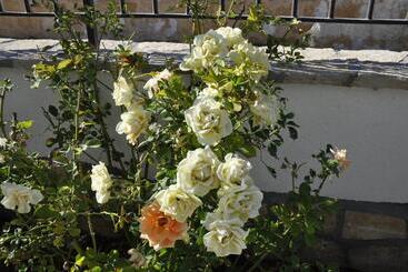 Pensió El Nur Bed & Breakfast