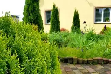 ホテル садиба святослав