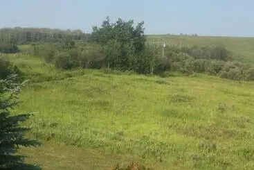 Misty Ridge Retreat B&b