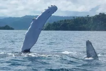 Hôtel Cabañas Refugio Salomon