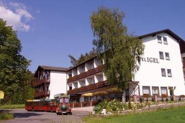 Hotel Igel