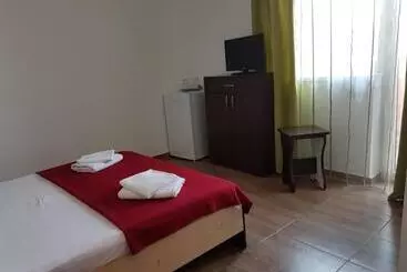 Pensiune Vila Flux Mamaia Nord