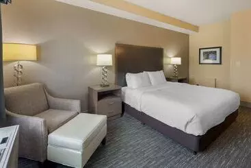 Otel Best Western Plus Chena River Lodge