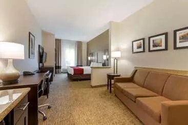 هتل Comfort Suites Ontario Airport Convention Center
