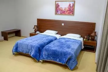 ホテル Arta Palace