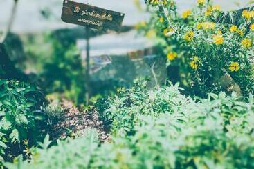 مبيت وإفطار Al Gattosaggio