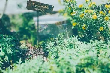 Bed and Breakfast Al Gattosaggio