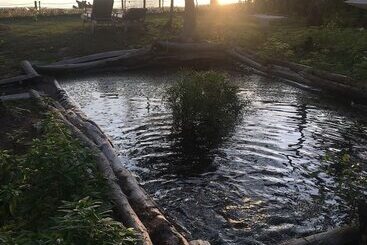 Hotel Greenhouse Ecolodge