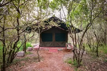 ホテル Talek Olkinyei Camp