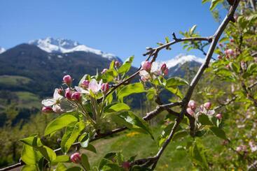 アパートホテル Residence Feldhof