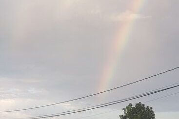 Gm Suites Bed & Breakfast