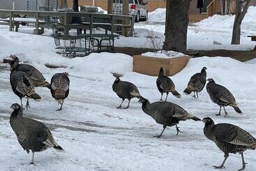 هتل Destination Inn