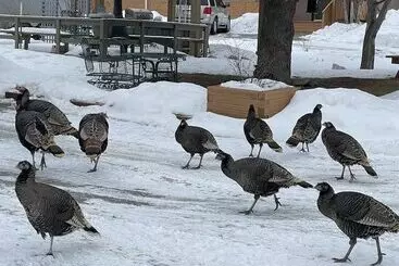 Hotel Destination Inn