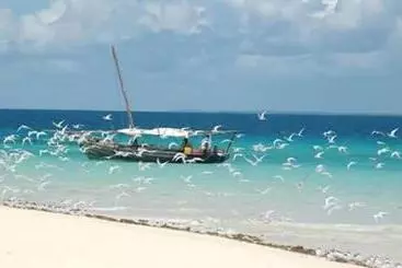 Bed and Breakfast Mafia Beach Bungalows Sea View