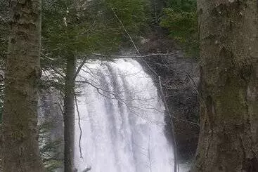 モーテル Tug Hill Resort