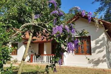 Pension The Pepper Cottage