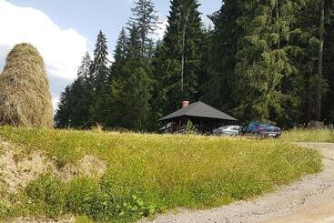 فندق Pensiunea Maria Bucovina